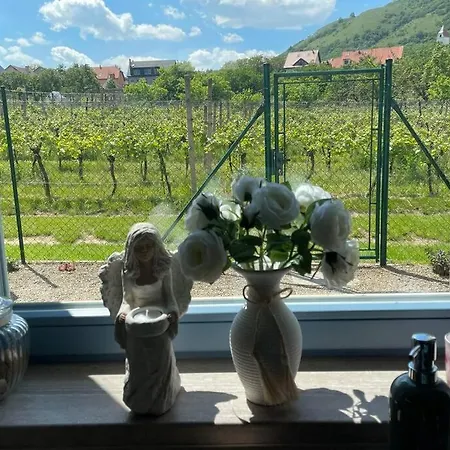 Vila Henrieta v srdci Pálavy *